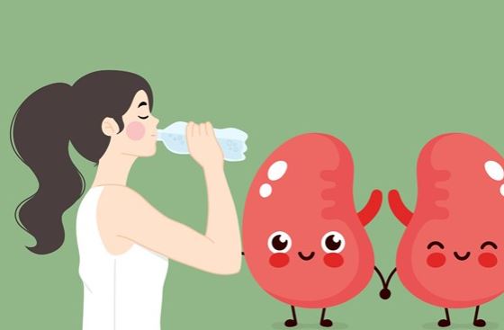 Uống nước đúng cách, giữ thận khỏe mạnh